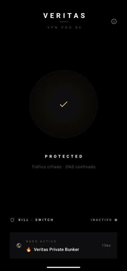 VPN PRO 89 with an active connection